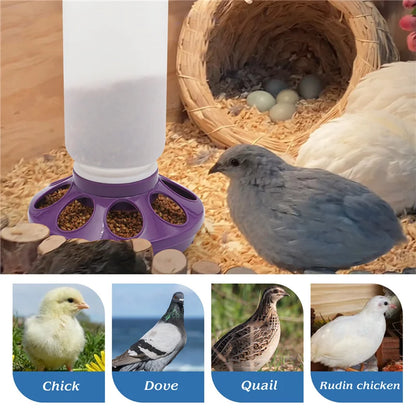 Poultry New Thickened Feeder and Drinker Water Food Dispenser Automatic Chicken Birds Chick Waterer Feeding Bucket Container 1L