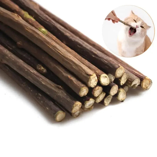 15pcs/lot Natural Matatabi Pet Cat Snacks Sticks Cleaning Tooth Catnip Cat Toys Actinidia Silvervine Pet Toy For Cats Cat Toys