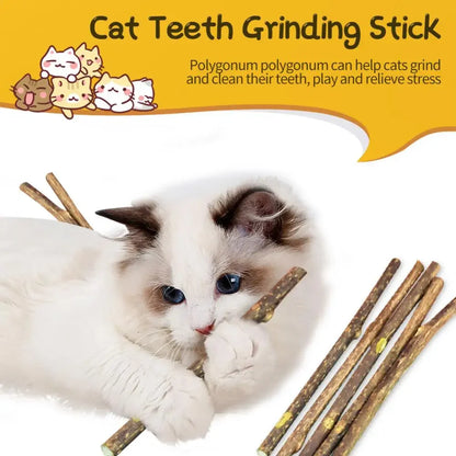 15pcs/lot Natural Matatabi Pet Cat Snacks Sticks Cleaning Tooth Catnip Cat Toys Actinidia Silvervine Pet Toy For Cats Cat Toys