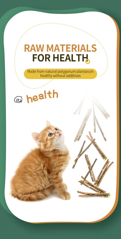 15pcs/lot Natural Matatabi Pet Cat Snacks Sticks Cleaning Tooth Catnip Cat Toys Actinidia Silvervine Pet Toy For Cats Cat Toys