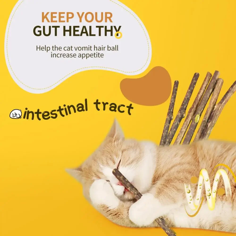 15pcs/lot Natural Matatabi Pet Cat Snacks Sticks Cleaning Tooth Catnip Cat Toys Actinidia Silvervine Pet Toy For Cats Cat Toys