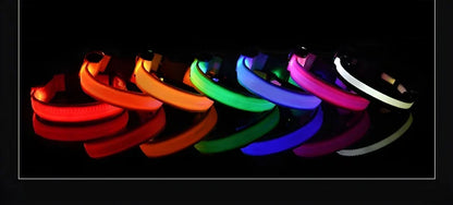 Dog Collar Nylon LED Night Safety Flashing Glow In The Dark Pet Dog Leash pet Dogs Luminous Fluorescent  dog accessories collar