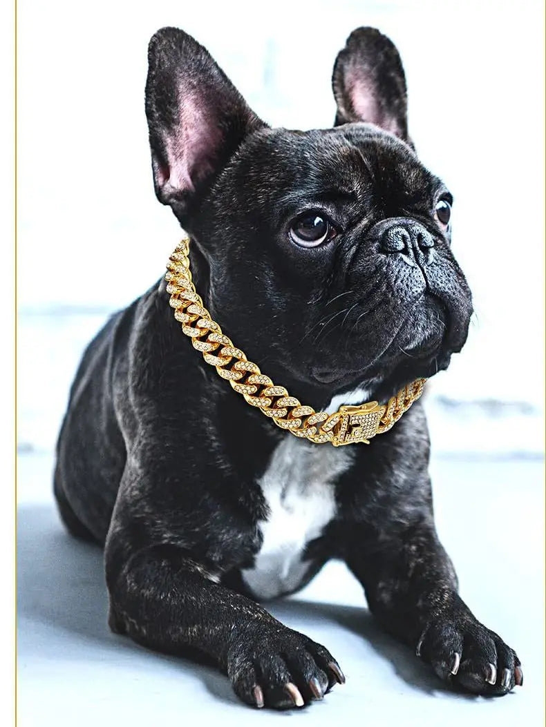 Dog Gold Chain Diamond Collar with Secure Buckle, Pet Cat Collar Jewelry Accessories